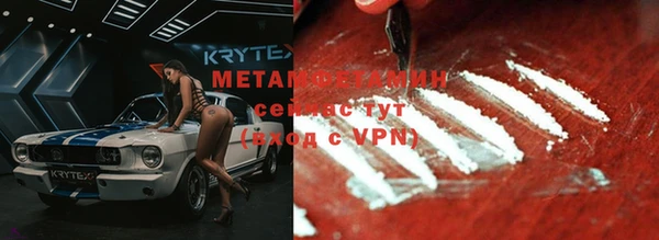 крисы Мегион