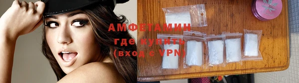 крисы Мегион