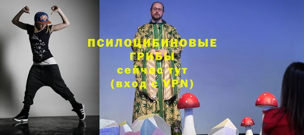 крисы Мегион
