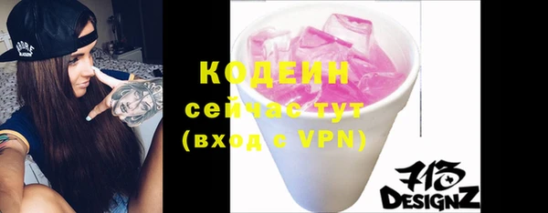 крисы Мегион