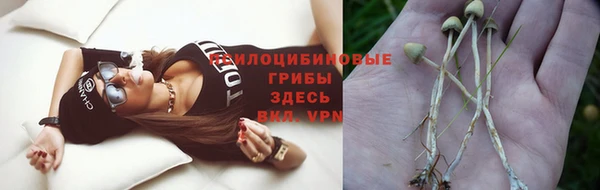 мяу мяу кристалл Медногорск