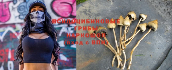 крисы Мегион