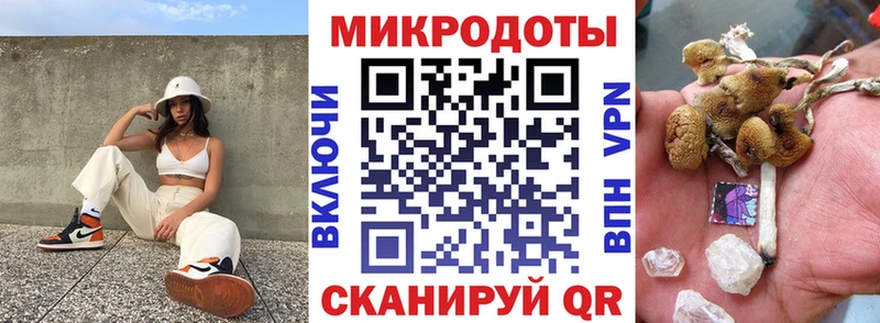 Псилоцибиновые грибы мухоморы Гдов